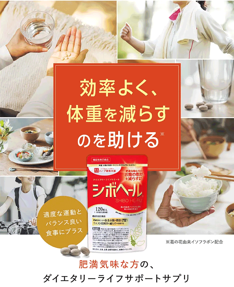 効率よく、体重を減らすのを助ける