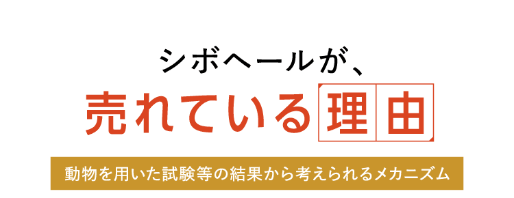 シボヘールが、売れている理由