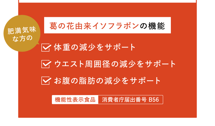 葛の花由来イソフラボンの機能
